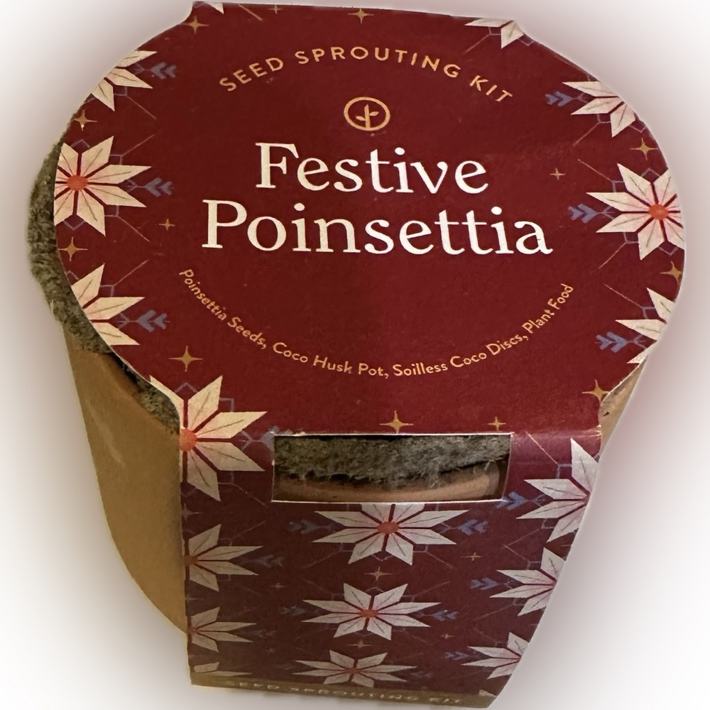 2021 FESTIVE. POINSETTIA SEED SPROUTING KIT TERRA COTTA POT MODERN SPROUT GARDEN
